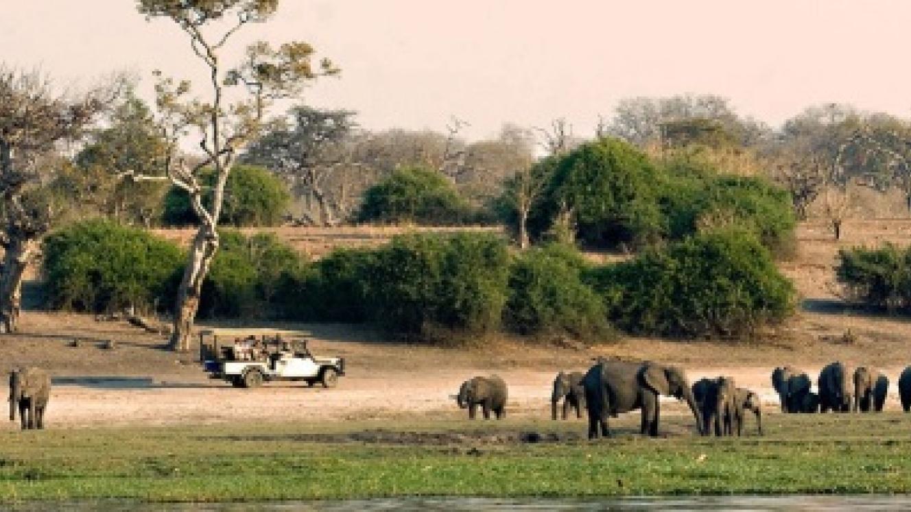 Moremi Game Reserve in Botswana.