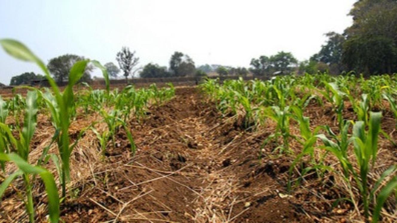 Botswana’s Department of Tourism is planning to diversify the country’s tourism offering with farm stays.