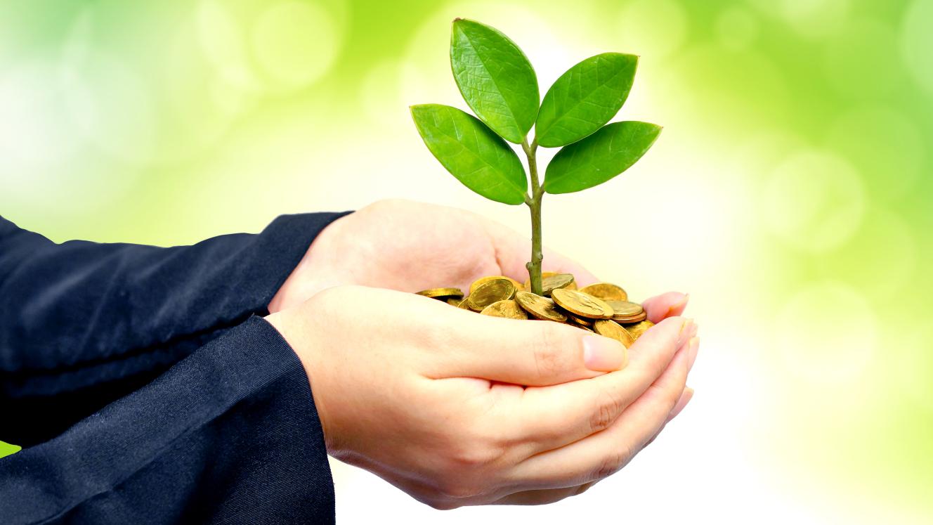 The Cathsseta discretionary grant offers funding for internship programmes.