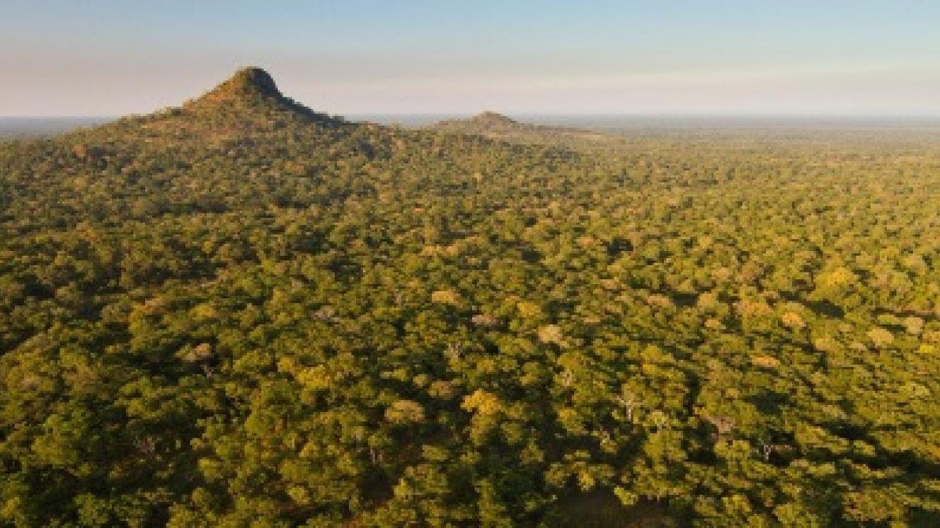 Muzimu Tented Camp will be constructed in the Gorongosa National Park.