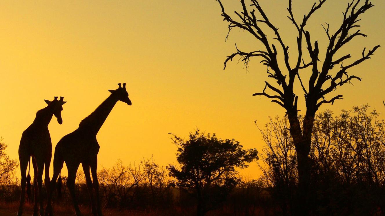 If the tourism industry doesn’t look after the destination, there will be nothing to promote and sell, say operators.