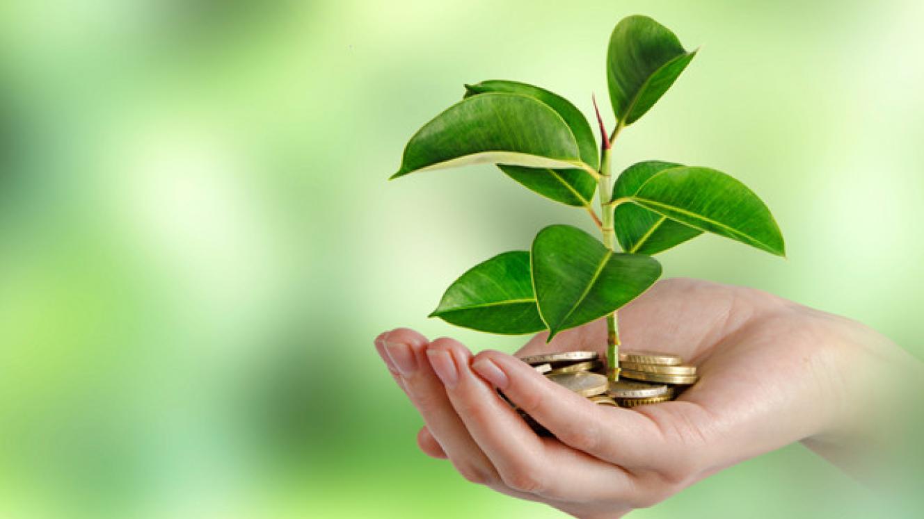 Richard Smith suggests that conservation levies should be significantly increased.