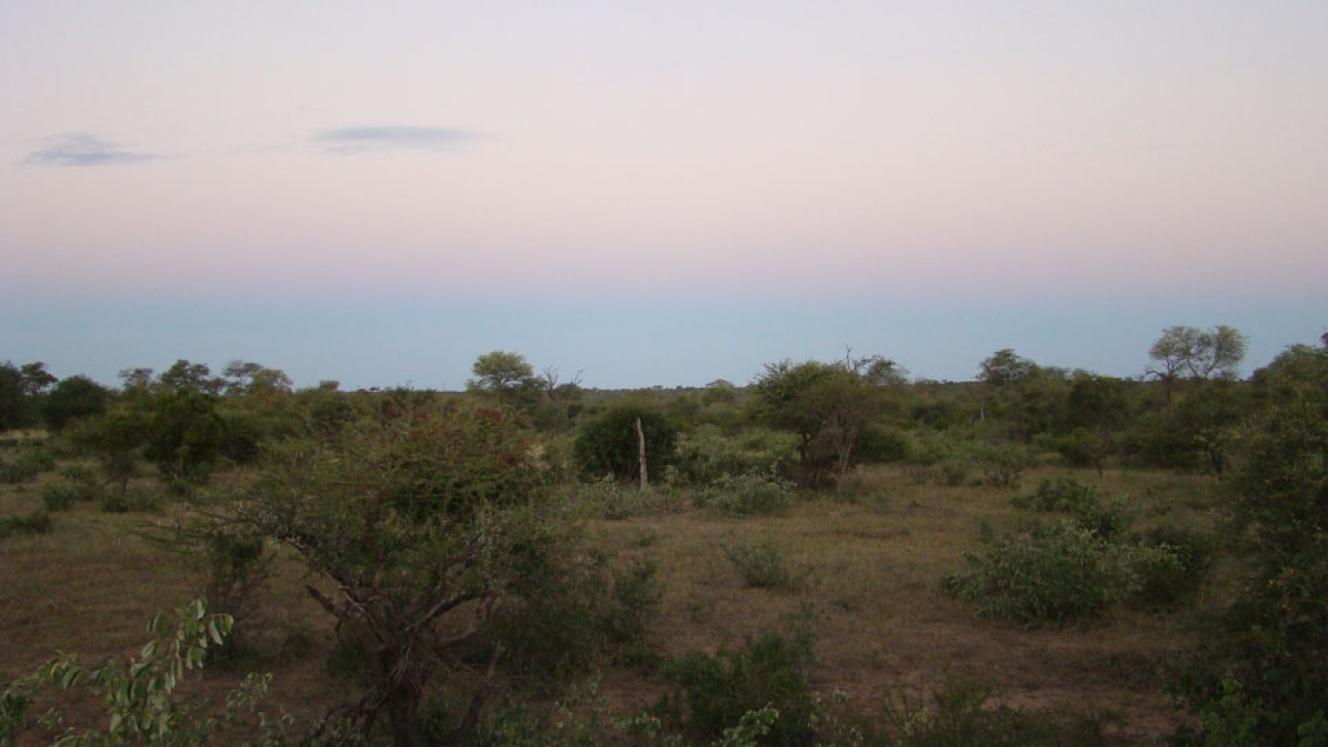 Timbavati Game Reserve has made an application to hunt an elephant known as a tusker.