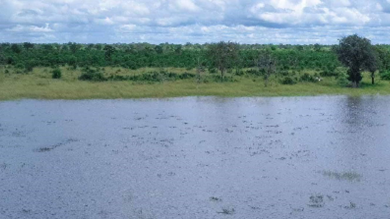 Nogatsaa Pans Lodge is currently being built in the remote Nogatsaa/Tchinga area of the Chobe National Park.