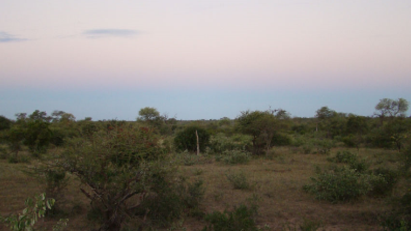 The Timbavati Private Nature Reserve, which borders Kruger Park with a dropped boundary.