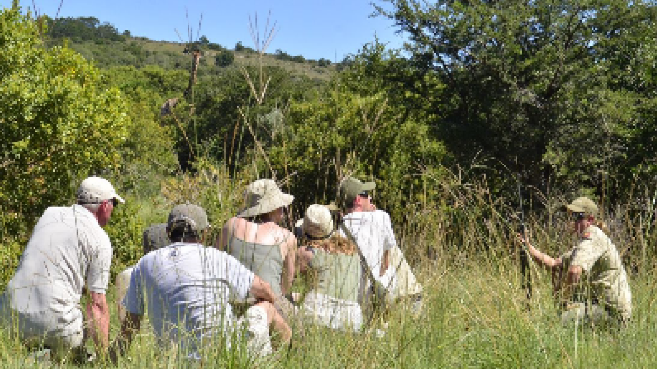 Guests can now enjoy a guided walking safari at Lalibela Game Reserve.