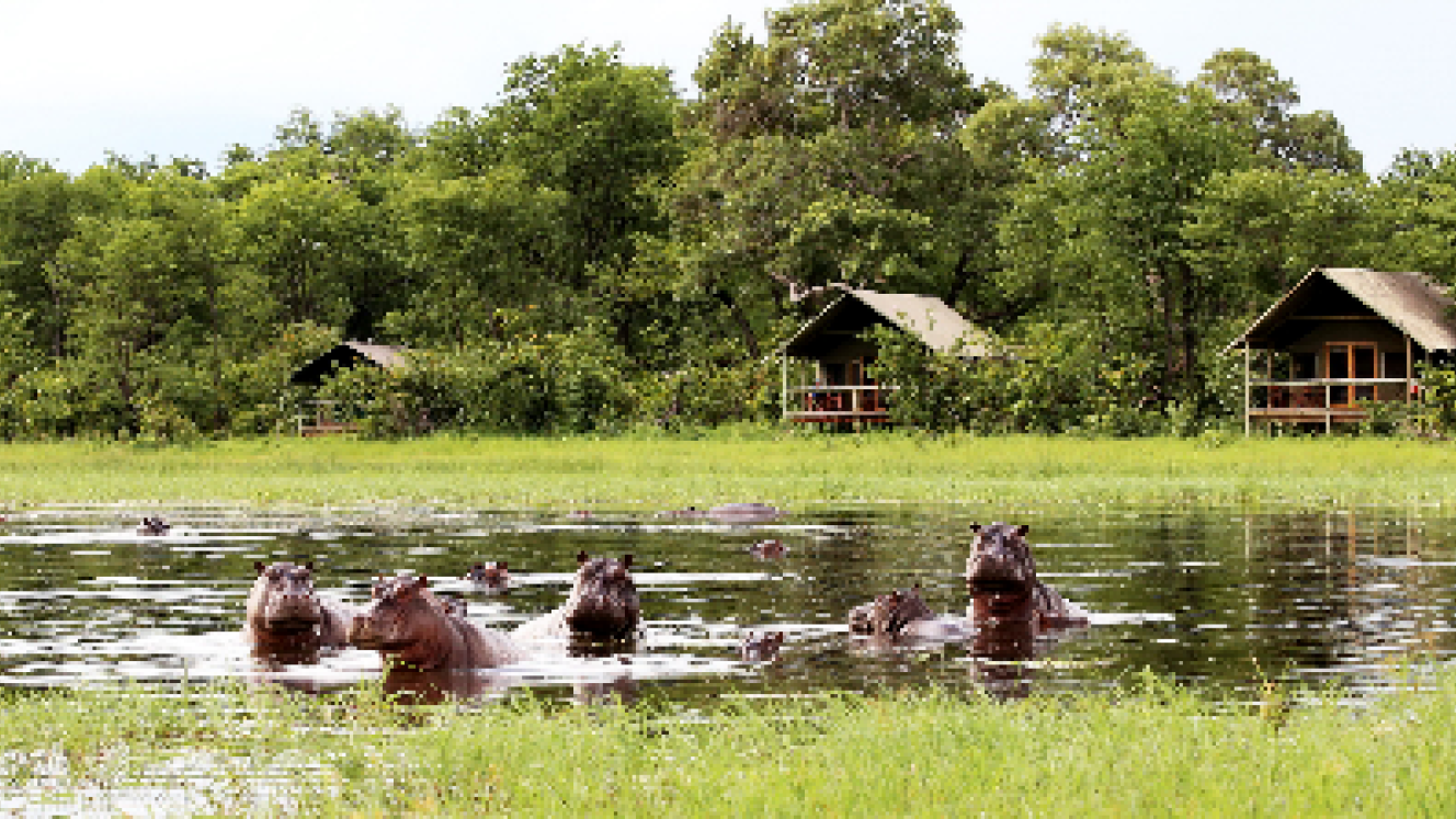Hippos can be seen by guests from their beds at the Sable Alley camp in the Khwai Private Reserve, Botswana.