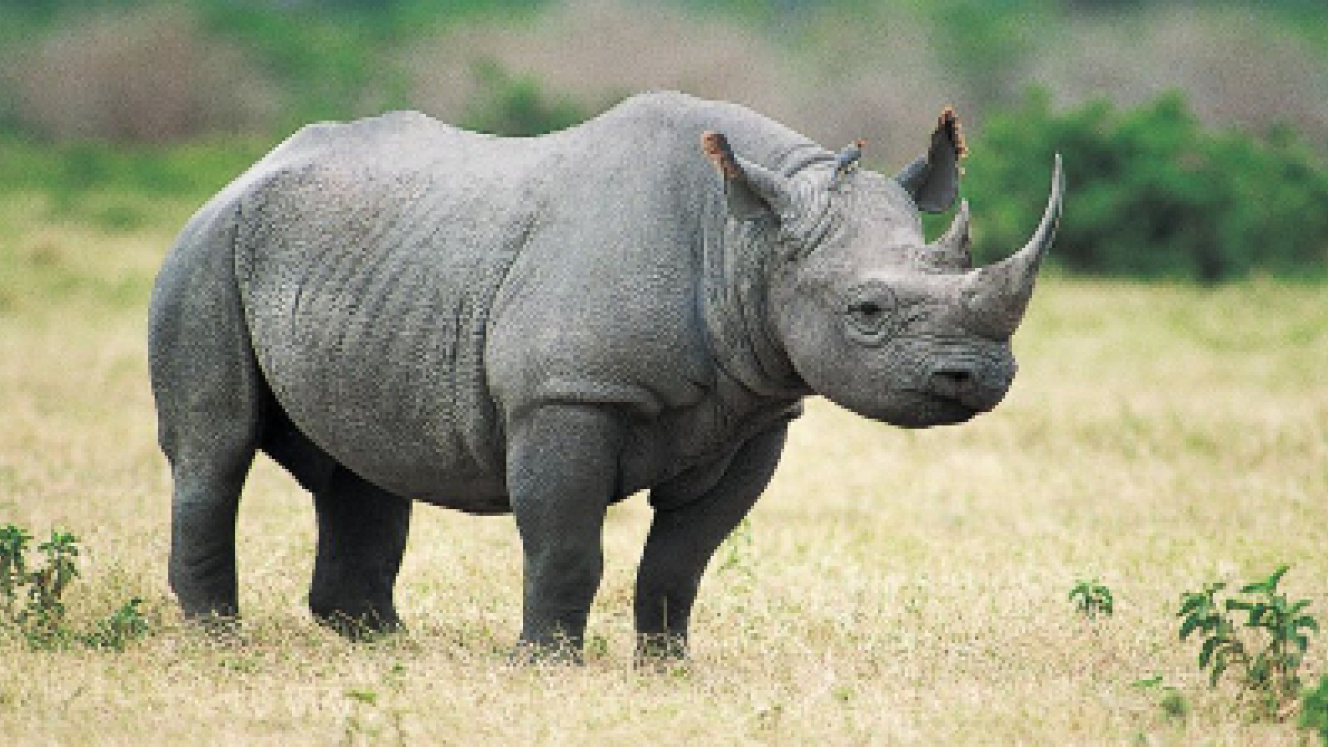 Conservation should not be left up to product owners alone, say members of the tourism industry.