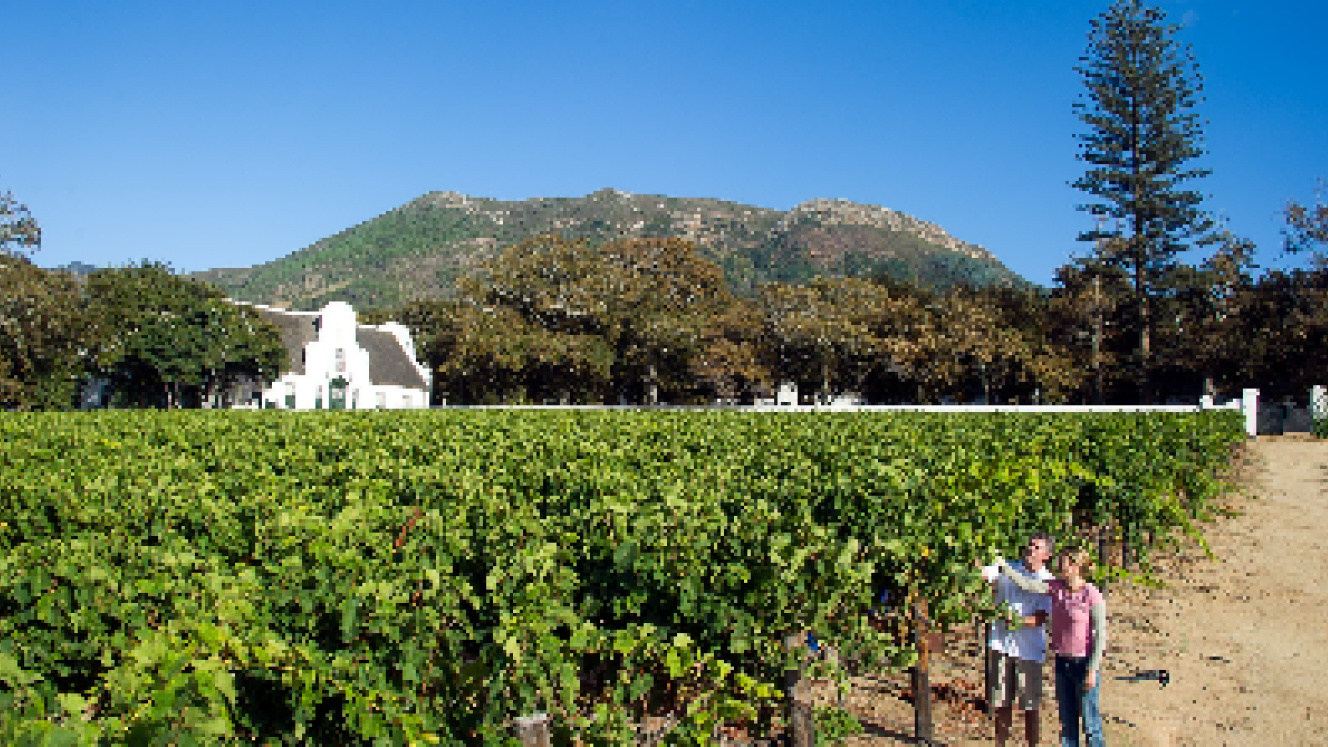 Private Journeys offers tailor-made, privately guided tours of the Cape Winelands.