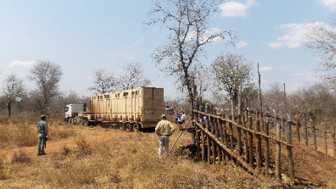 Last year’s arrival of the elephant in Zinave.