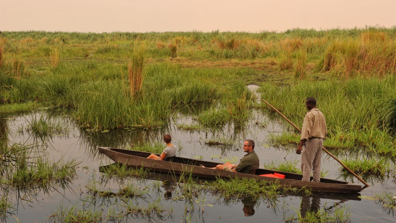 African Bush Camps activities resume in Botswana.