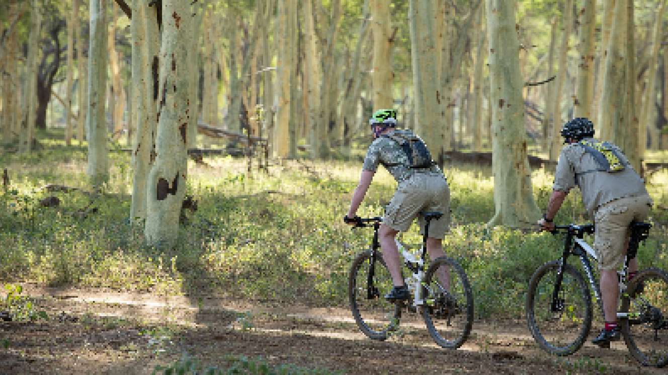 Escape Cycle Tours will be offering a new cycling safari, starting this October. 