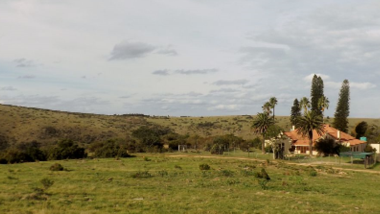 Lalibela game reserve is in the process of renovating farmhouse.