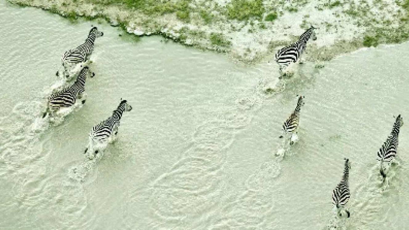 Helicopter flights will be on offer at Jack’s Camp from 2018.