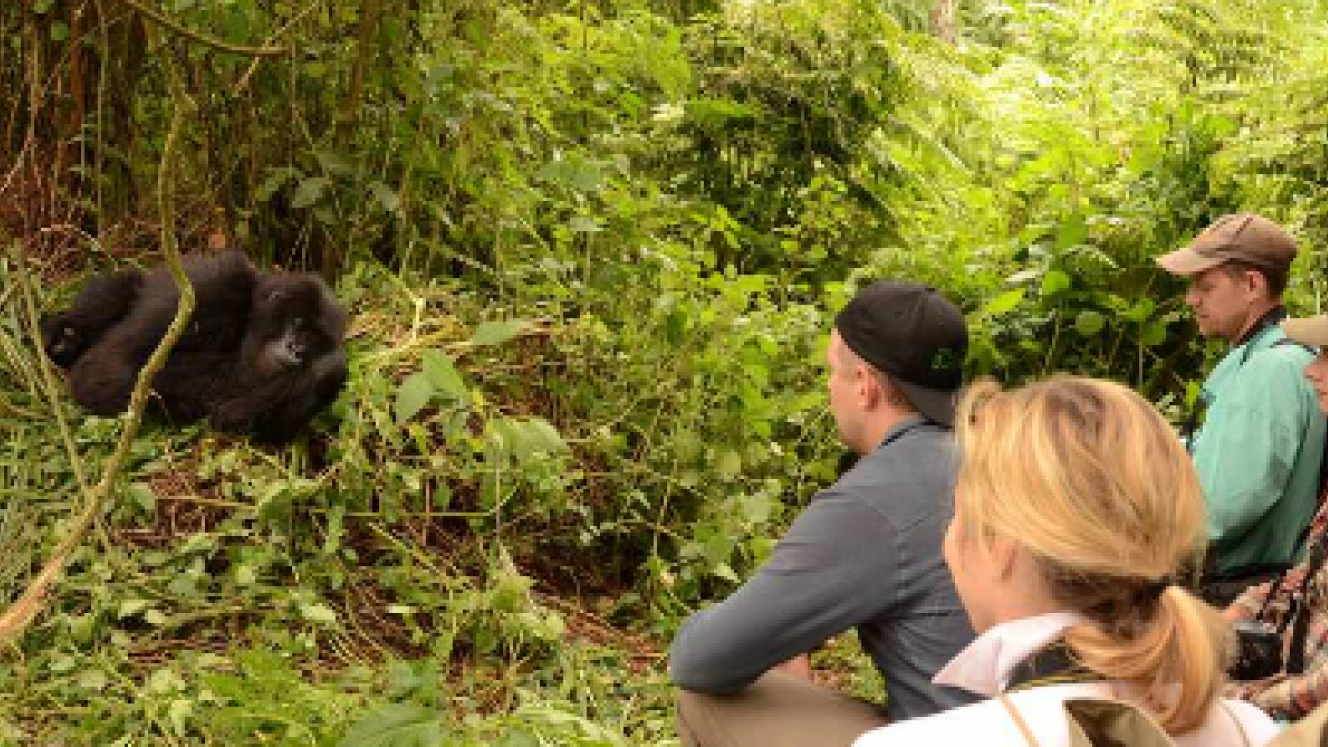Rwanda’s permit hikes may be in response to the surge in high-end tourism development.
