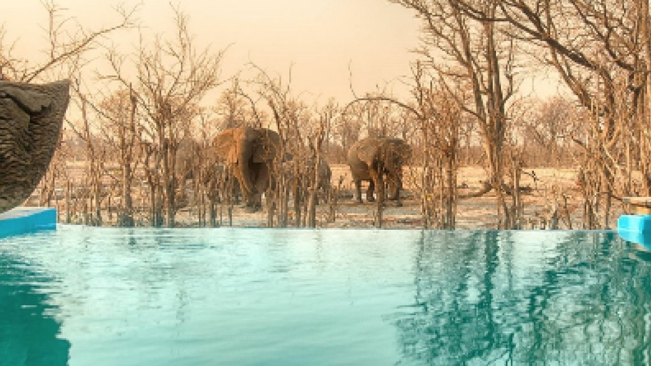 The refurbishment at Hyena camp in Botswana has been completed.