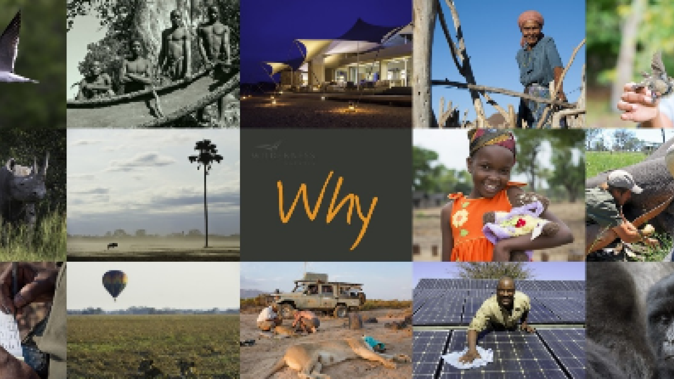 Wilderness Safaris’ new Why Website is now live.