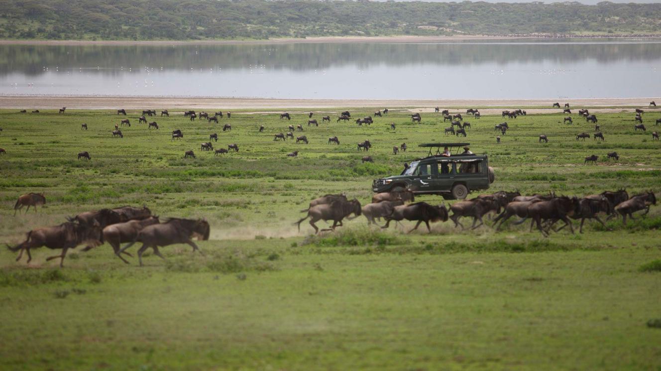 A concession fee has been implemented in Tanzania.
