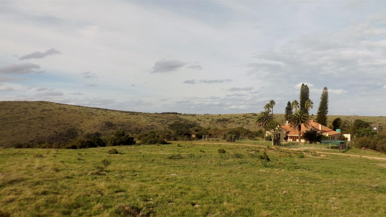  Lalibela is converting a historic farmhouse on the reserve into a hillside villa.