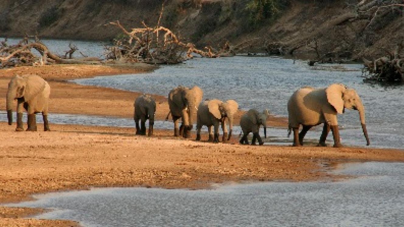 Zambia boasts a considerable amount of tourist-worthy locations.