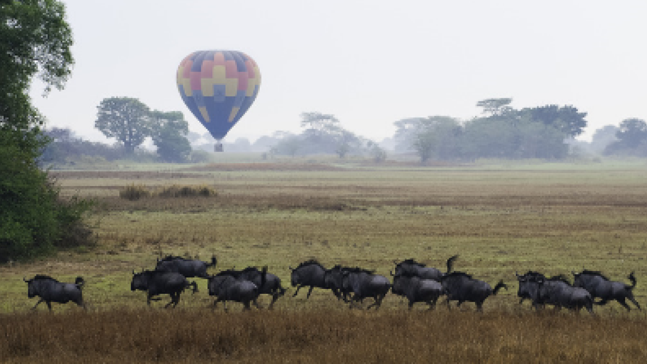 Photo credit: Wilderness Safaris. Kafue National Park in Zambia has an abundance of wildlife.