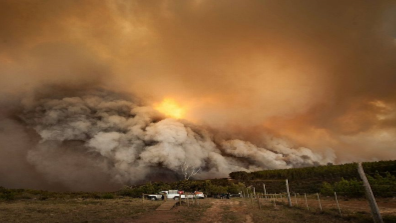 Satsa will waive its 2018 fees for members who were affected by the recent fires.