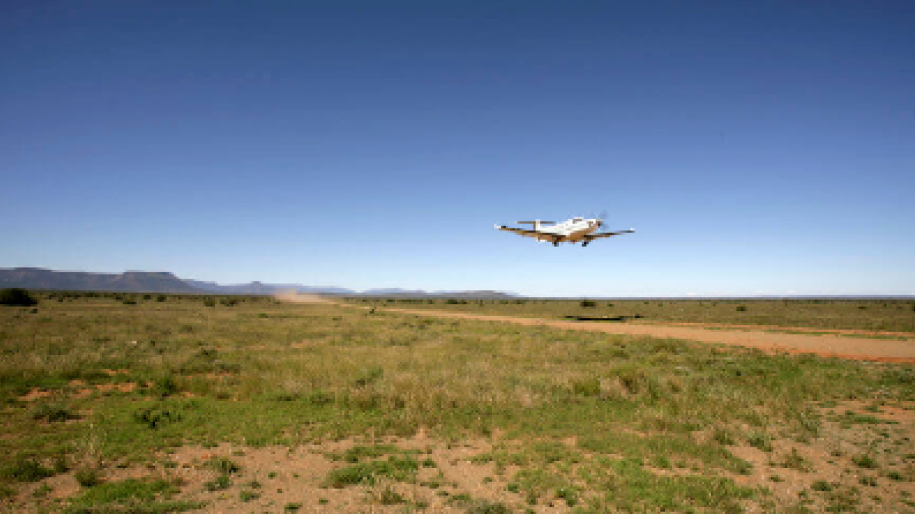 A new flight schedule by PlettAirSafaris and two new charter services have launched.