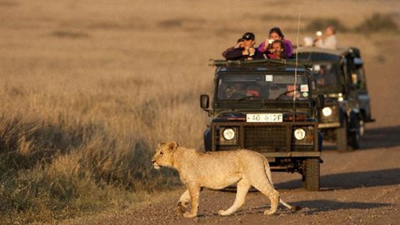 Kenya to receive more guests next month following the recent elections.