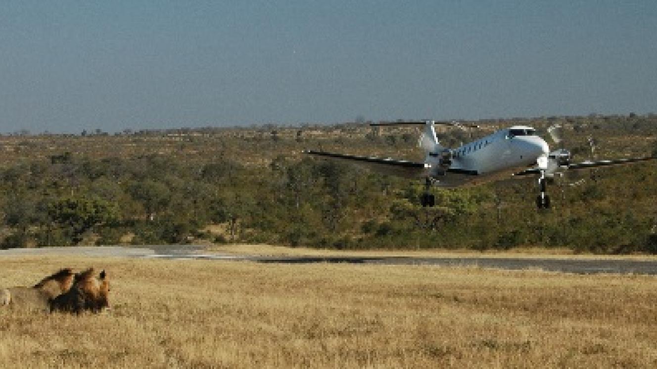 Photo credits: Wetu. Airstrip licensing issues begin to make strides.