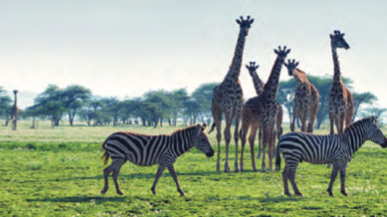 Discover Uganda 2018 was launched by Sense of Africa, allowing guests to traverse various notable regions.