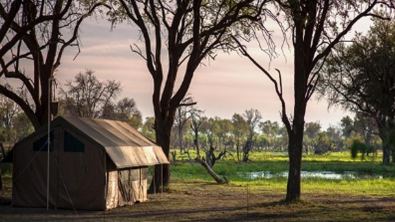 The Luxury Safari Company offers high-end mobile safaris.