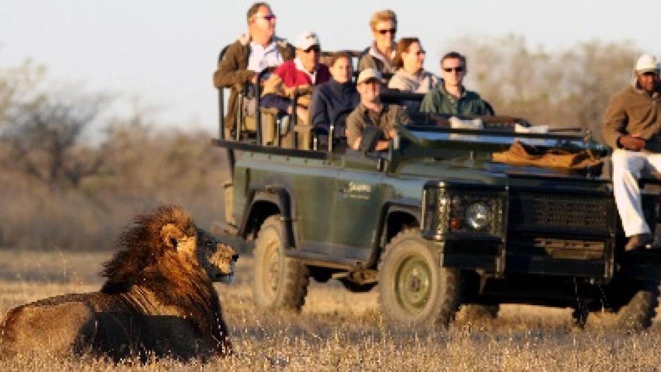 Tourism Update provides top tips for choosing the right safari for clients.