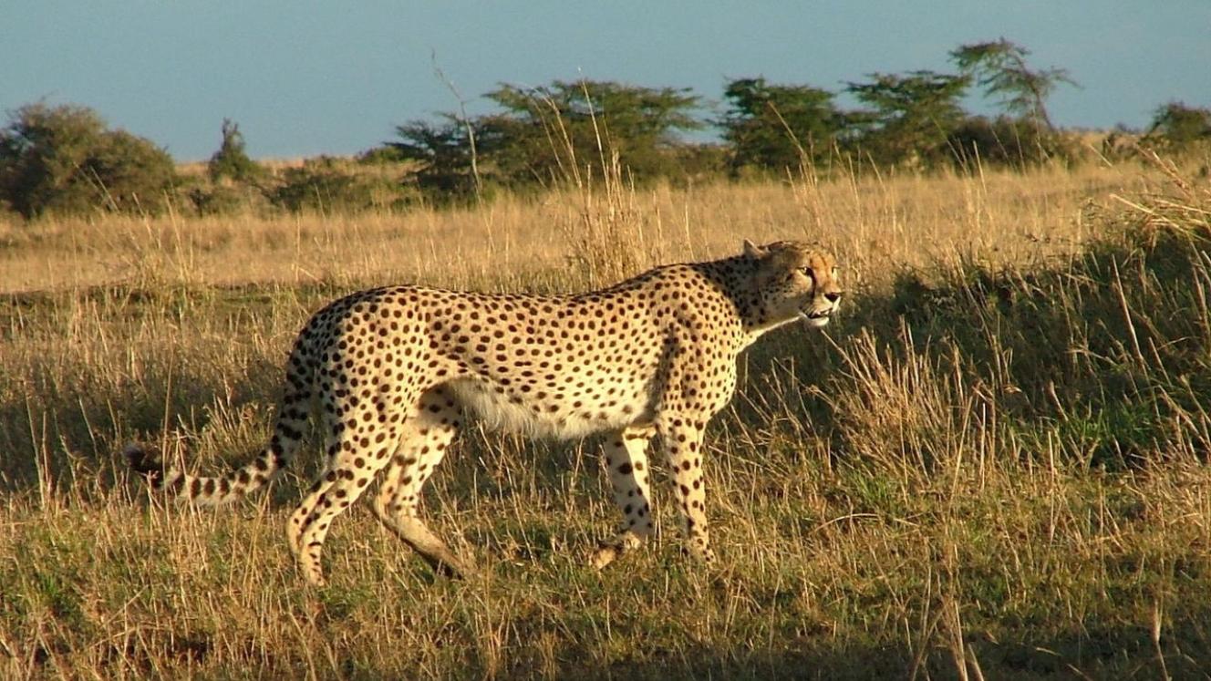 The Tourism Conservation Fund will focus on long-term, large-scale projects. 