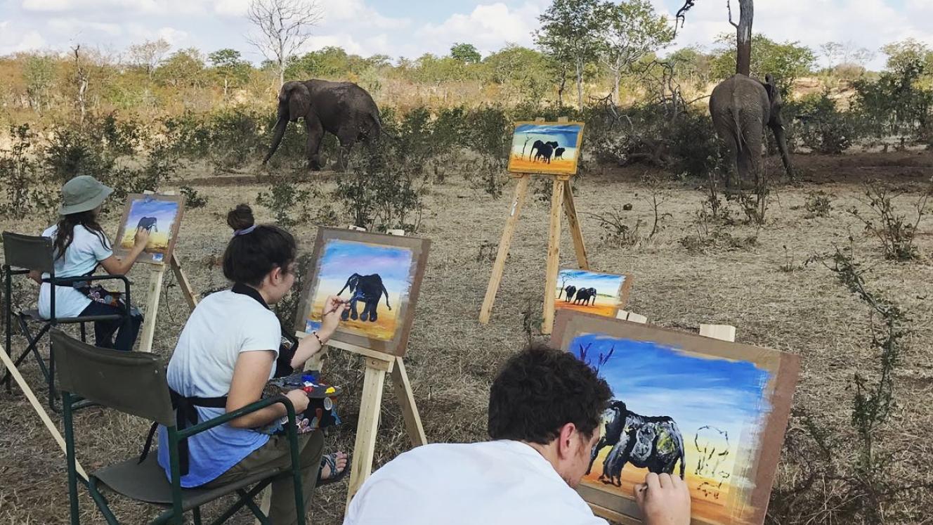 Art of Africa sessions involve spending time with and observing the elephants at Victoria Falls. 