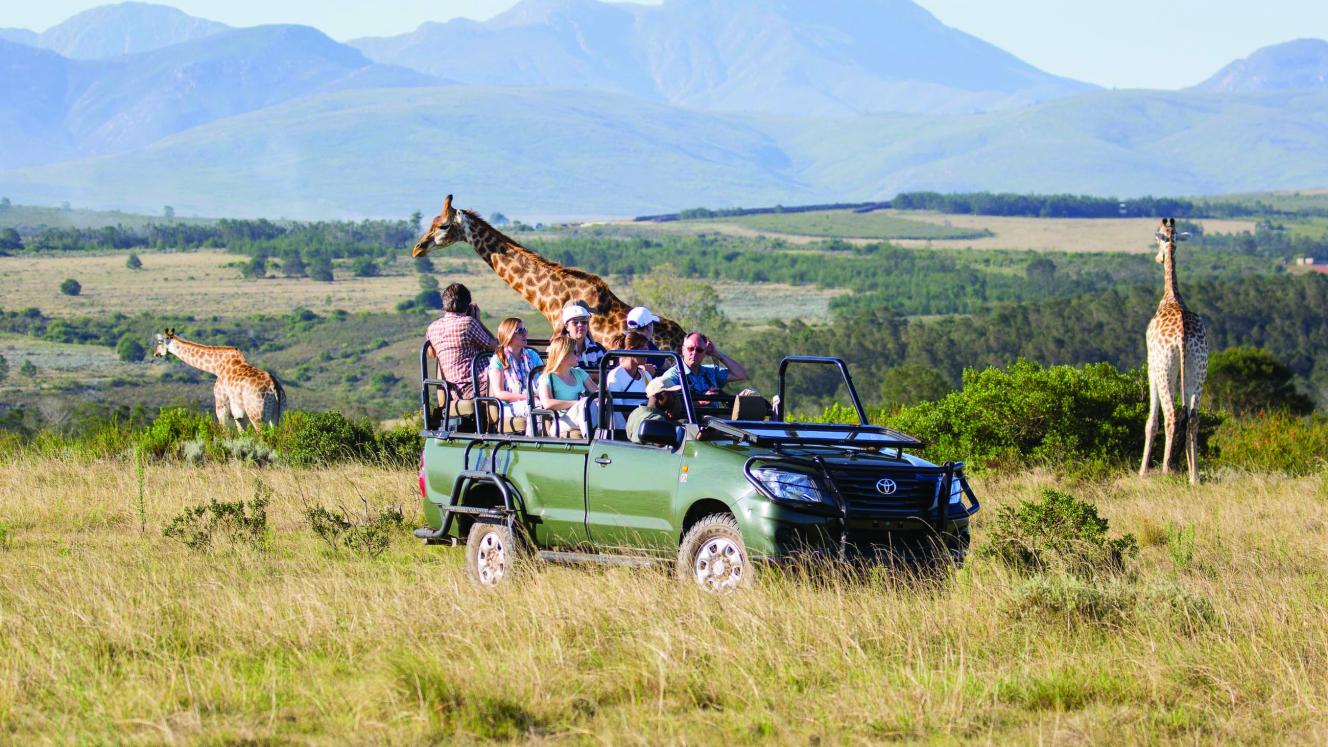 A great family experience for all ages at Gondwana.