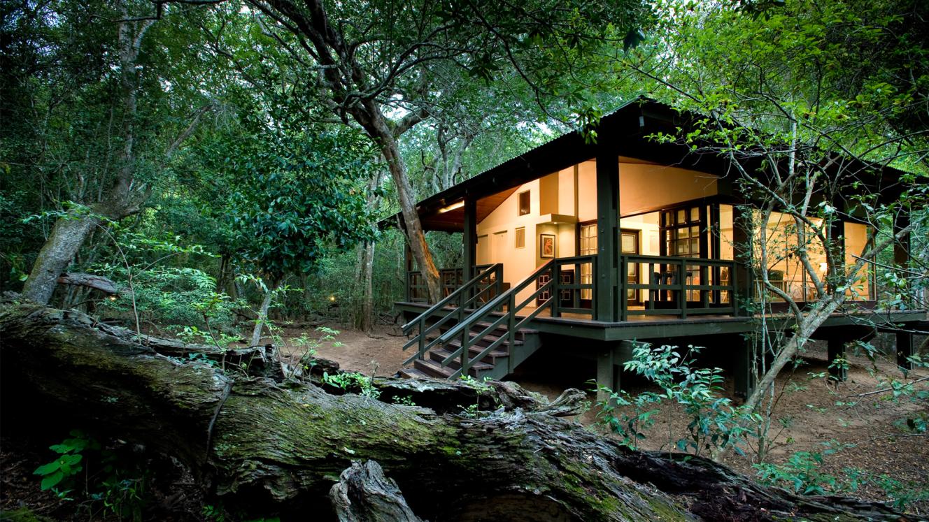 &Beyond Phinda Forest lodge in Phinda Private Game Reserve.