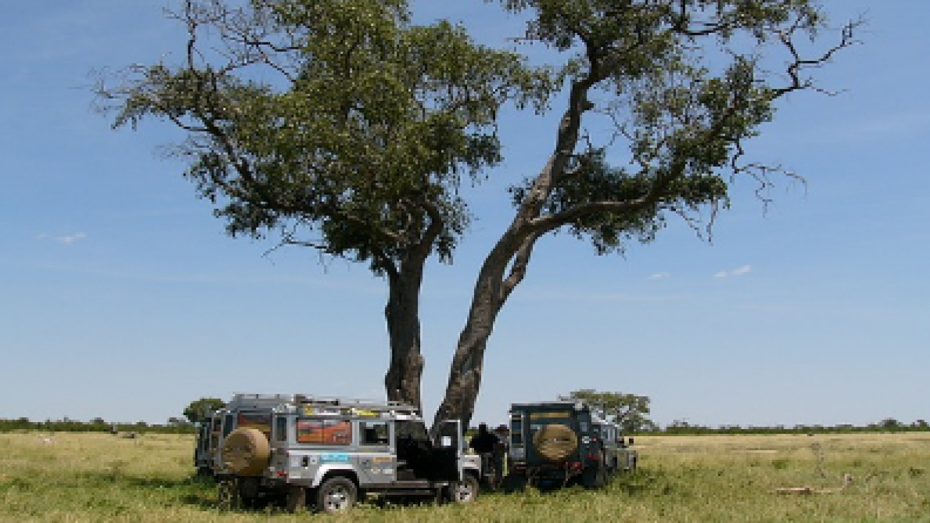The Okavango Delta is one of the most sought-after wilderness destinations in the world.