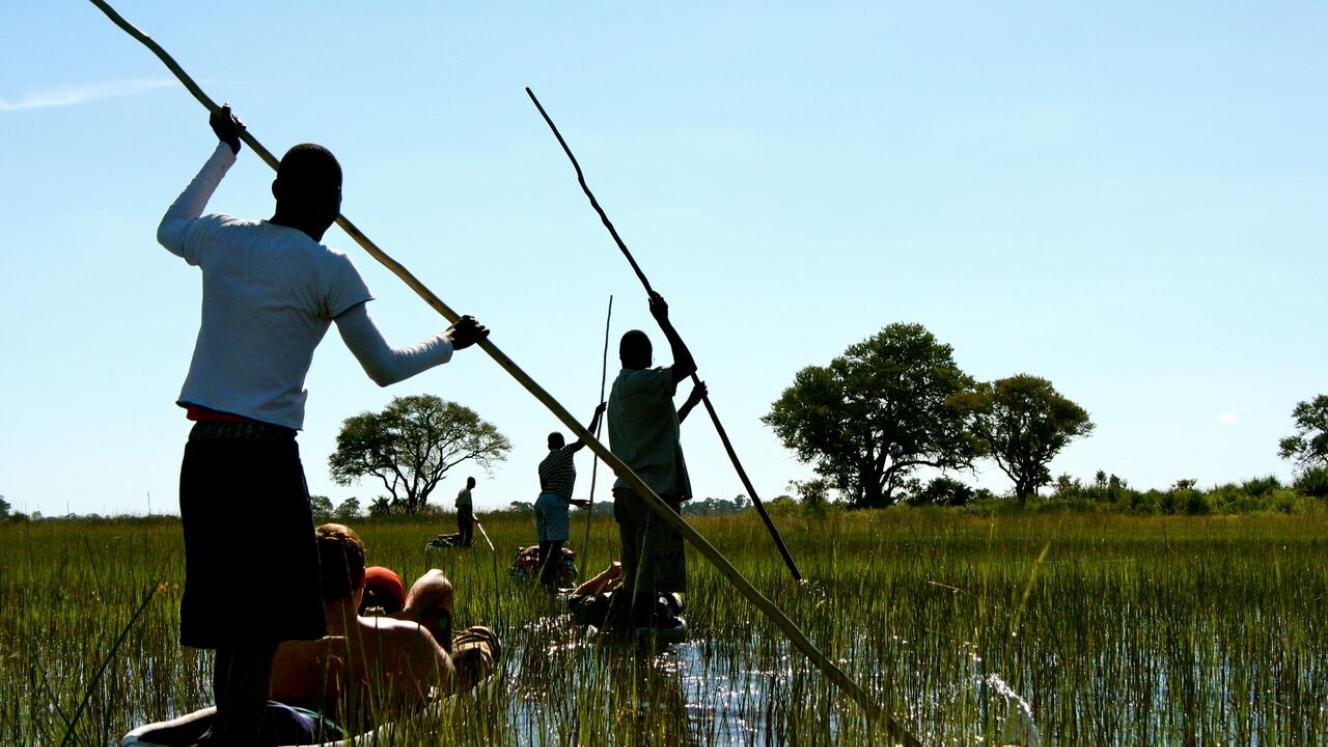 Travellers will get up close to one of National Geographic’s initiatives on a visit to a field camp of the Okavango Wilderness Project.