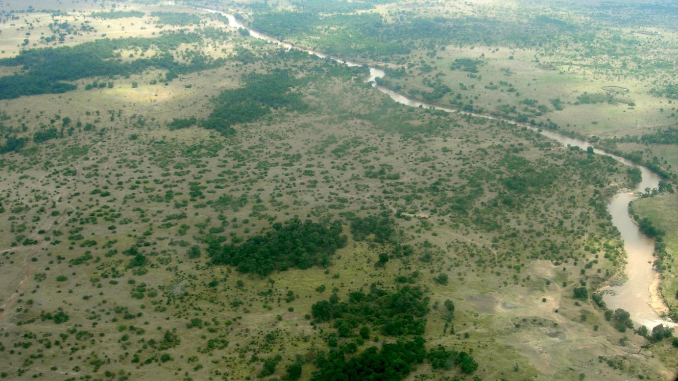 According to statistics, only 29% of the camps are legal, with conservationists raising the alarm that unchecked growth in the parks would interfere with conservation.