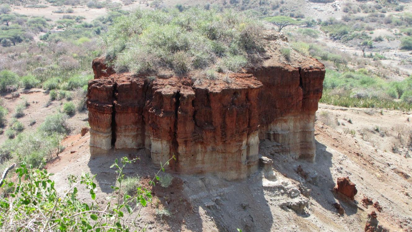 In a bid to attract more international visitors to the museum, the facilities in the hominid sites at Olduvai Gorge are being upgraded.