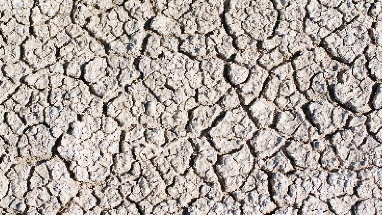 Etosha National Park is a must-do when visiting Namibia, which is home to the famous Etosha Pan. 