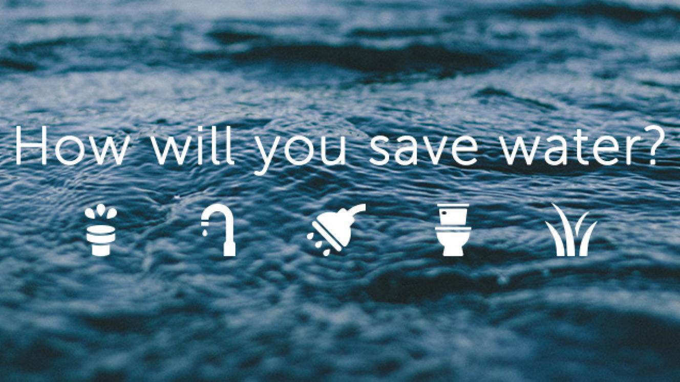 Take our survey, and give us your feedback on the severity of the current water crisis in Cape Town.