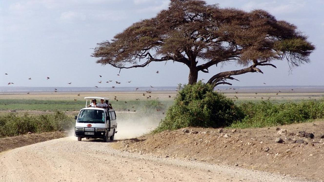 The Kenya Tourism Board attributes the increase in tourists to the peace enjoyed in the country after last month’s general election.