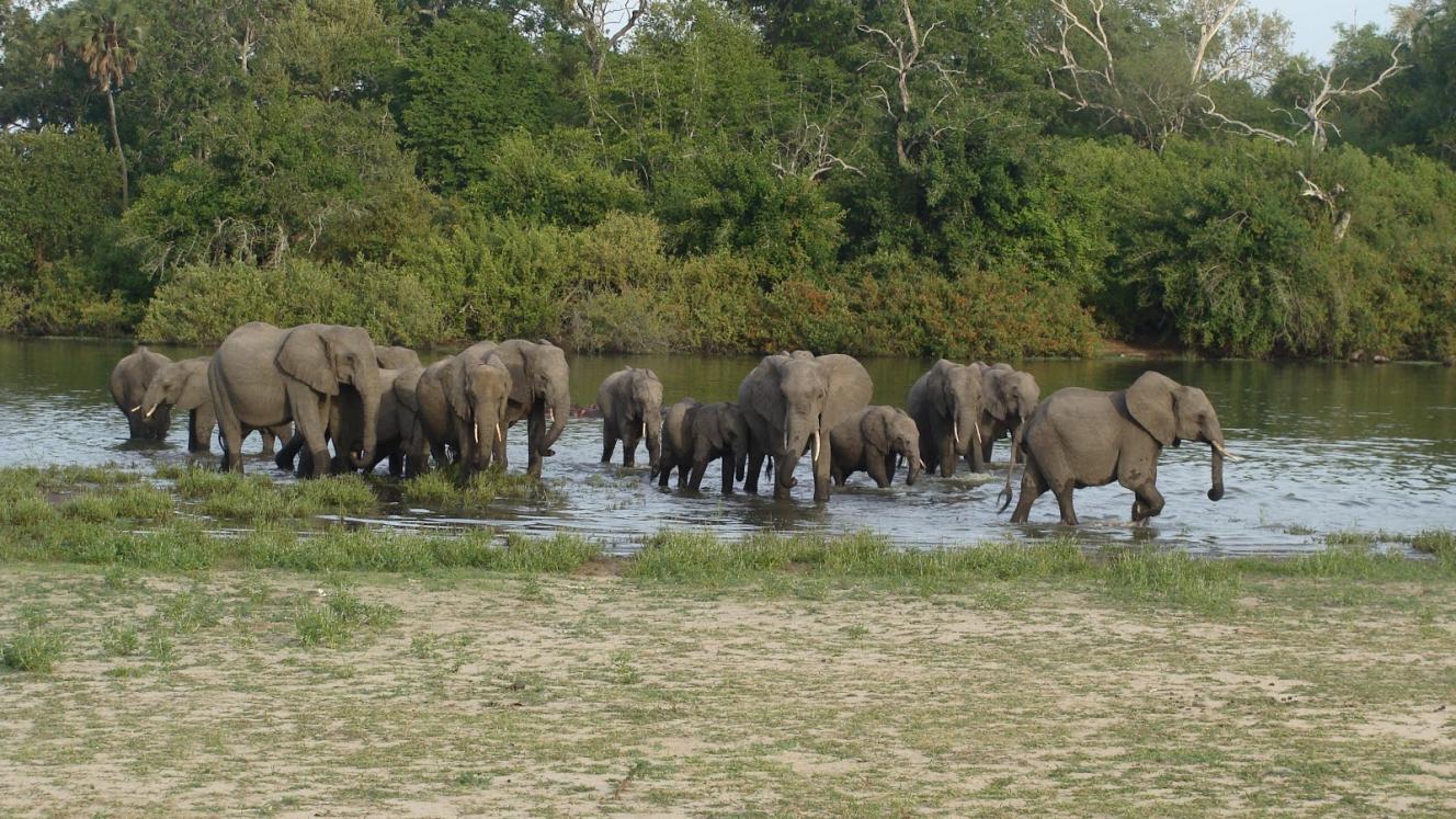 The TTB is in talks with three airlines to boost Tanzania’s tourism.
