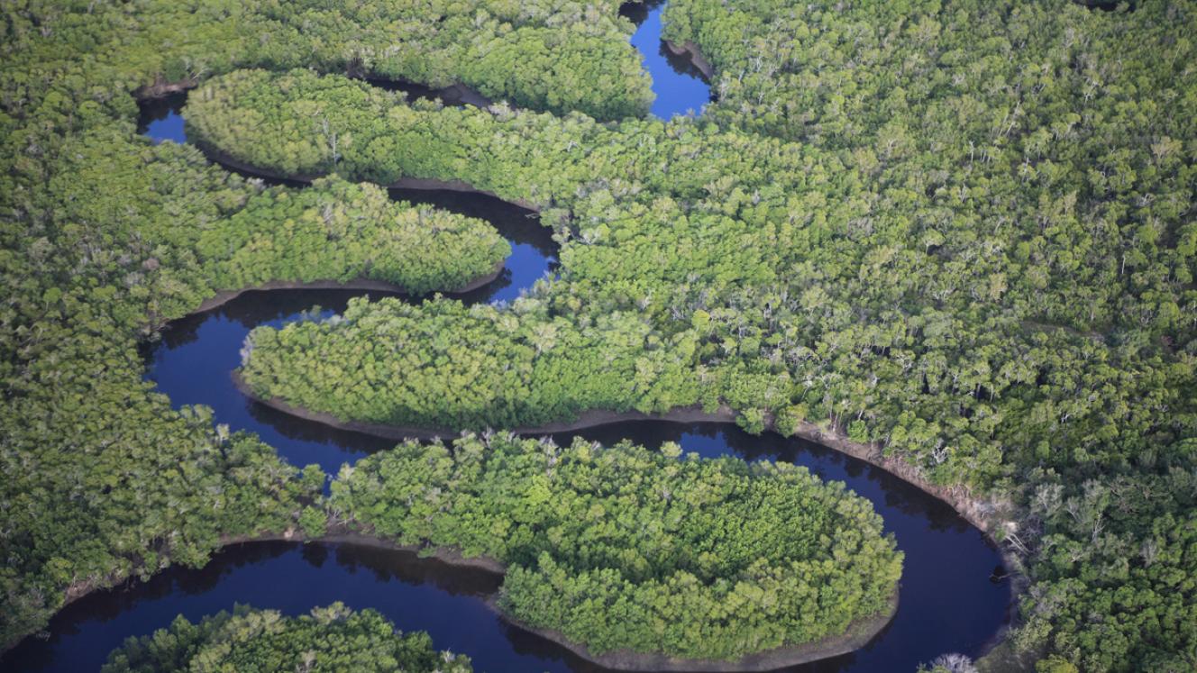 Customers can also add on a three-day pre-cruise programme in Cape Town, with a visit to Robben Island, a wine estate and the Cape of Good Hope.