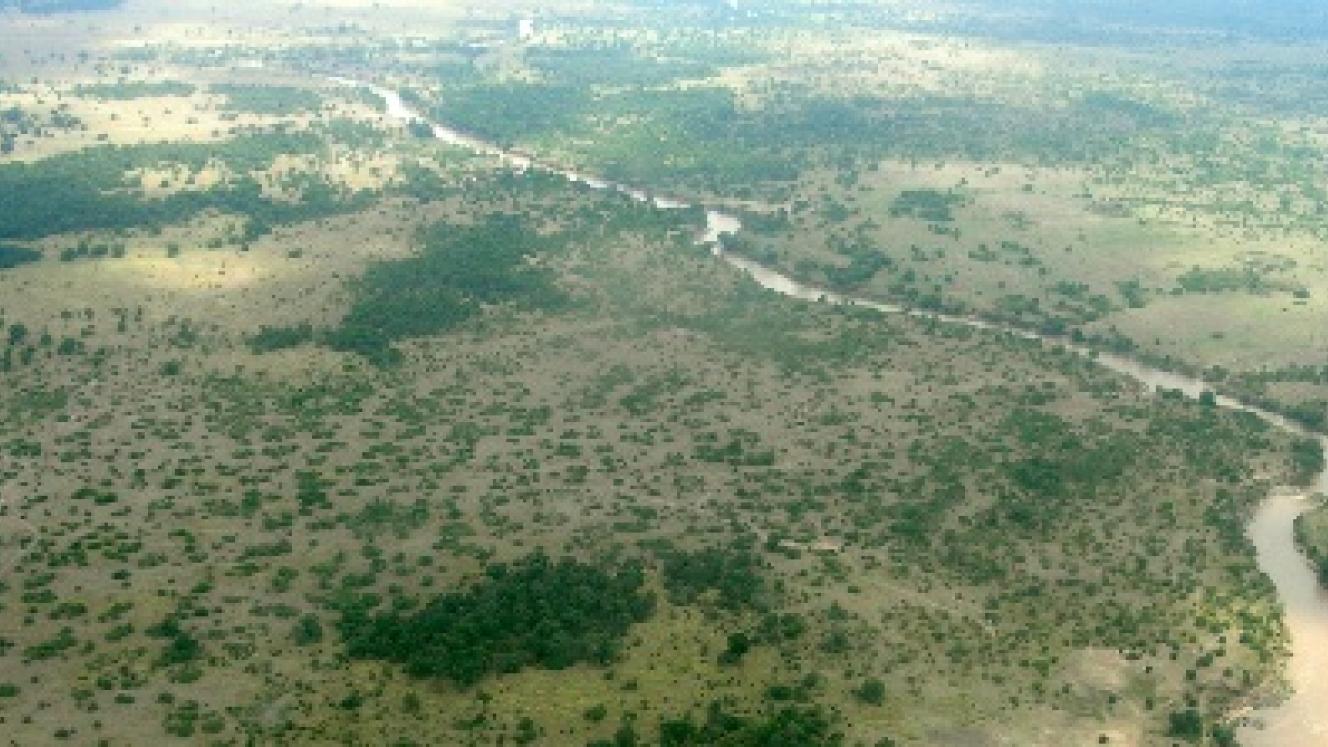 Work on Rafiki Camp has stopped until an agreement has been made.