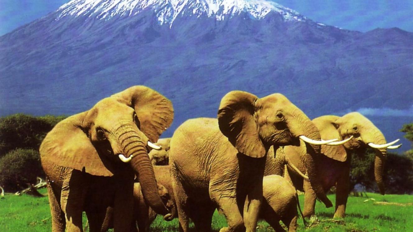 The key pillars of the blueprint are product development, marketing, investment and infrastructure development.