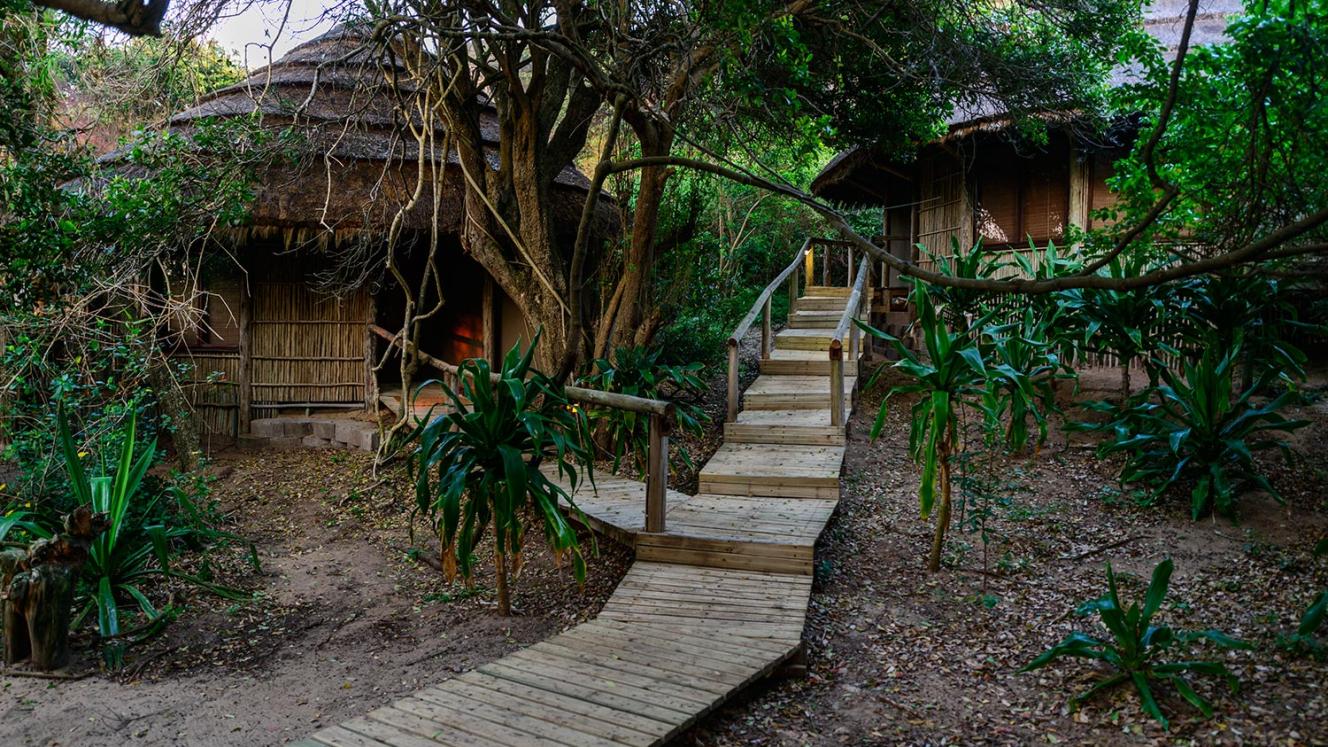 Thonga Beach Lodge has removed baths from its rooms to save water.