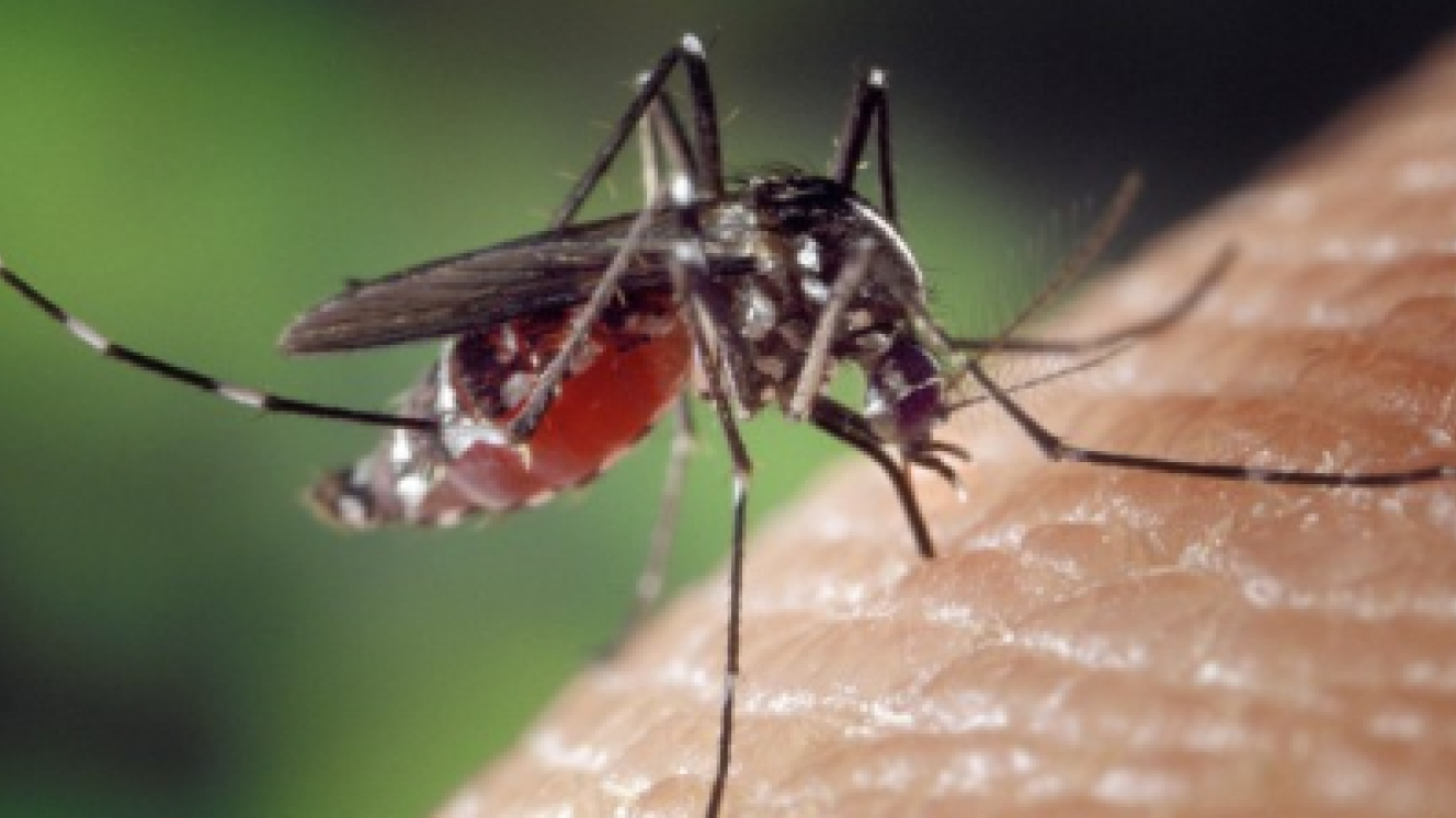 There are resident medical doctors permanently based in Skukuza, Kruger National Park’s main camp.