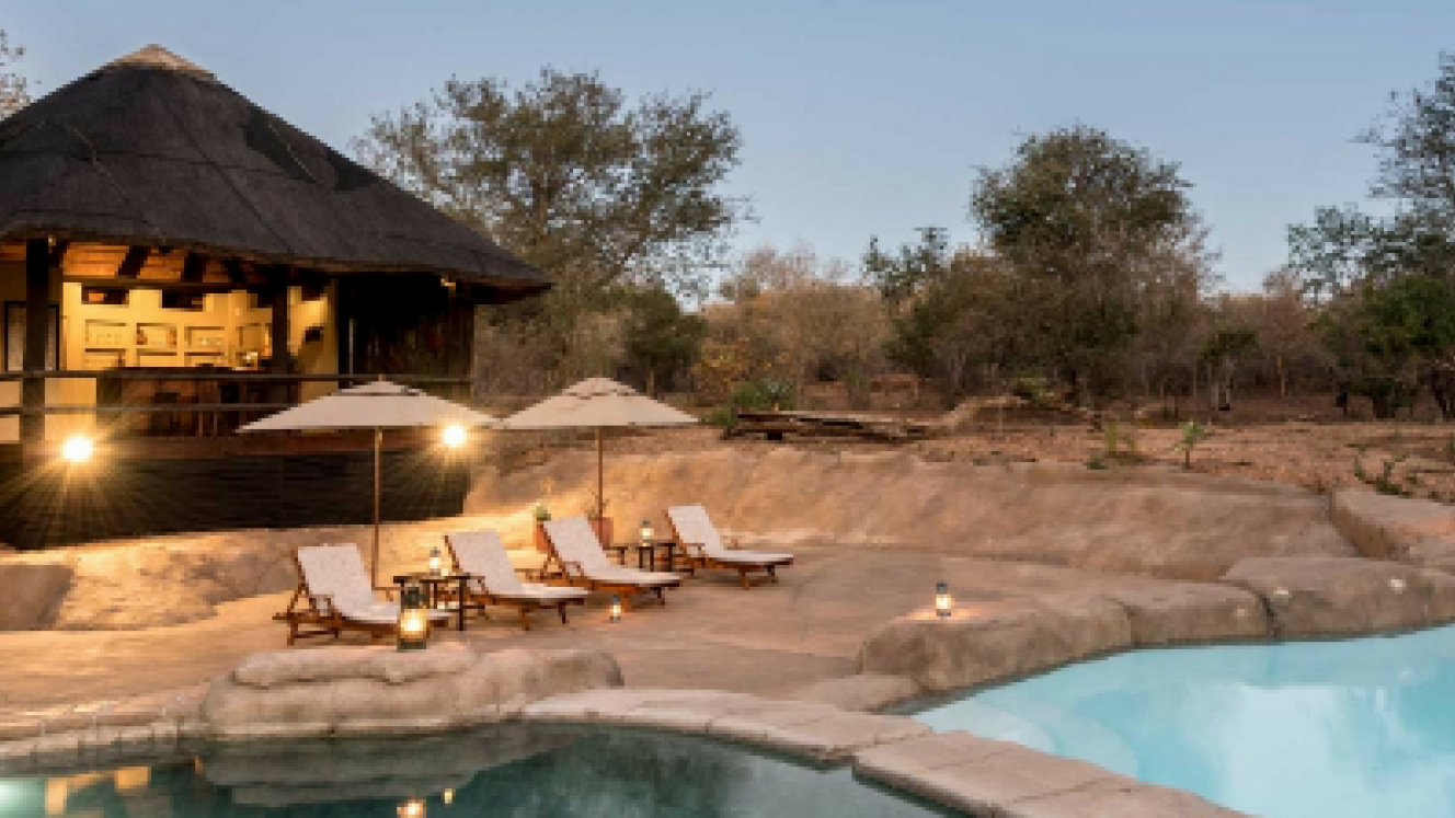 Is real-time availability becoming ubiquitous in the safari industry?